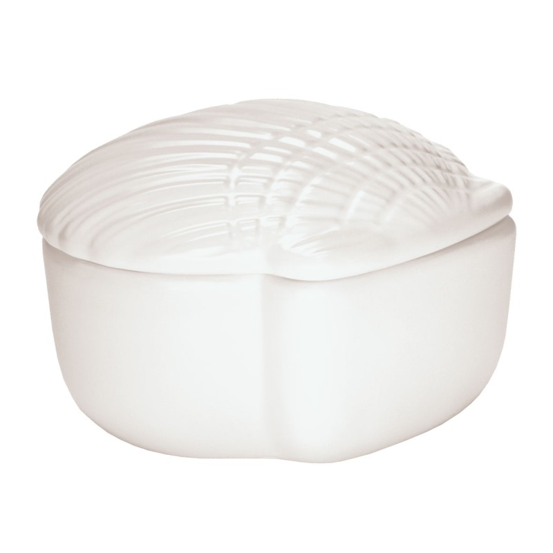 Concha Cotton Box - White