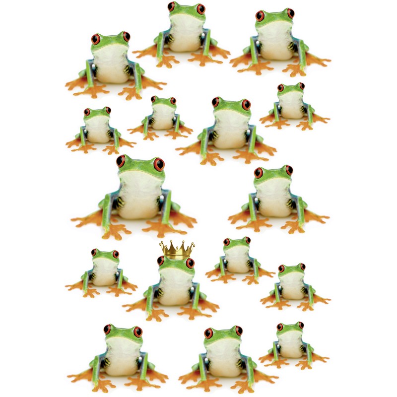 Frogs 23x34 εκ - SageGreen 
