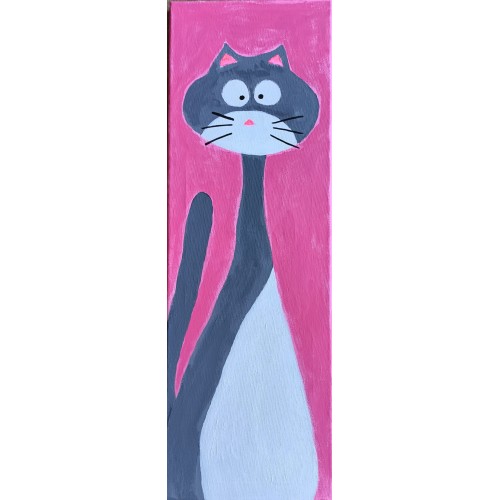 Καδράκι Extra Long Cat
