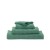 Evergreen (280)