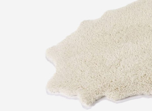 Living Room Rugs